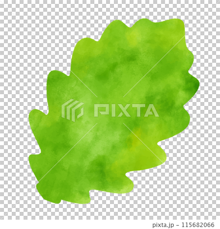 水彩紋路留下新鮮的綠色 115682066