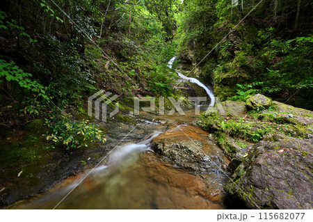 日ヶ奥渓谷 白龍雌滝（兵庫県丹波市春日町） 115682077