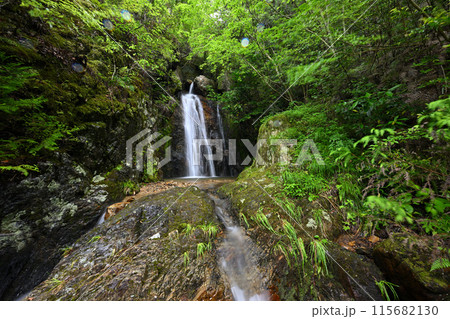日ヶ奥渓谷 白龍雄滝（兵庫県丹波市春日町） 115682130