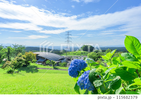 初夏の青空を背景に大自然の俵山と周辺風景(アジサイ花) (観光スポット俵山 交流館 萌の里) 初夏の青空を背景に大自然の俵山と周辺風景(アジサイ花) (観光スポット俵山 交流館 萌の里) 115682379