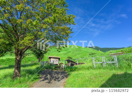初夏の青空を背景に大自然の俵山と周辺風景(ヤギ小屋)　(観光スポット俵山　交流館　萌の里) 115682972