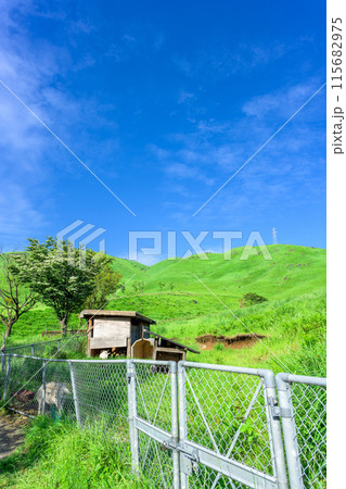 初夏の青空を背景に大自然の俵山と周辺風景(ヤギ小屋)　(観光スポット俵山　交流館　萌の里) 115682975