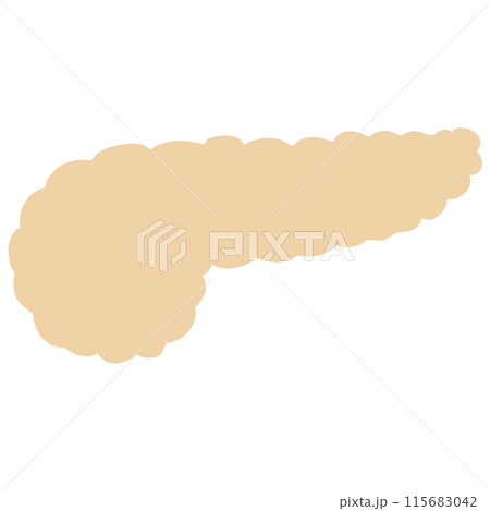 不健康な膵臓のイラスト 不健康な膵臓のイラスト 115683042