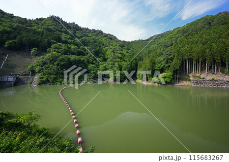 与布土ダム（奥山四季彩湖）兵庫県朝来市山東町 115683267