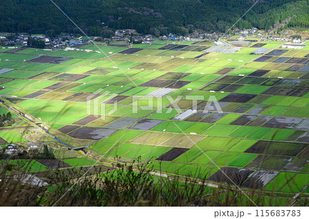 兜岩展望所から見る阿蘇の風景 115683783