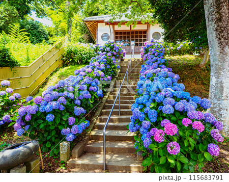 ヲベタ清正公堂 ヲベタ清正公堂 115683791