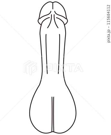 男性生殖器 医療 男性生殖器 医療 115684112