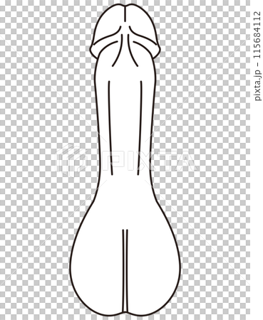 男性生殖器 医療 男性生殖器 医療 115684112