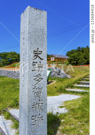多賀城外郭南門　壺の碑 115684418