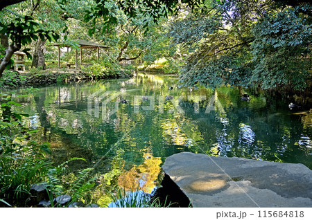 中山道熊谷宿：星溪園・回遊式庭園　熊谷市鎌倉町 115684818