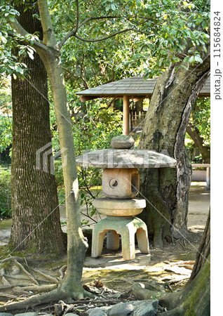 中山道熊谷宿：星溪園・回遊式庭園　熊谷市鎌倉町 115684824