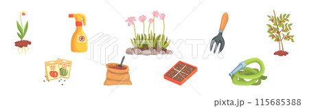Garden Tools and Object for Plant Cultivation Vector Set 115685388