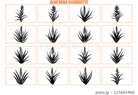 Silhouette aloe vera plant icon set, Aloe vera Plant Black White Design Silhouette 115685466