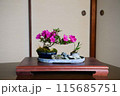 可愛い盆栽 115685751