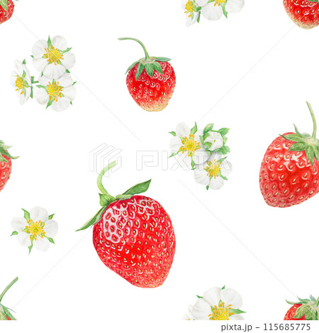 Red strawberry seamless pattern. Hand drawn watercolor ornament. Delicious food art, fresh botanical realistic painting. Summer berry background for menu, packaging, prints, textile 115685775