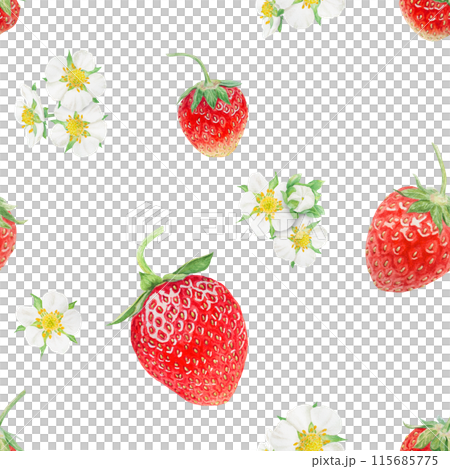 Red strawberry seamless pattern. Hand drawn watercolor ornament. Delicious food art, fresh botanical realistic painting. Summer berry background for menu, packaging, prints, textile Red strawberry seamless pattern. Hand drawn watercolor ornament. Delicious food art, fresh botanical realistic painting. Summer berry background for menu, packaging, prints, textile 115685775
