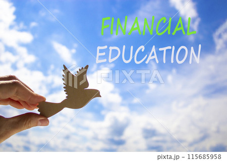 Financial education symbol. Concept words Financial education on beautiful sky. Beautiful blue sky cloud background. Businessman hand with wooden bird. Business Financial education concept. Copy space 115685958