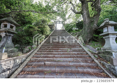 May 13 2024 Fuchi Shrine, which is the station for the Nagasaki Ropeway to Mt.Inasa 115685974