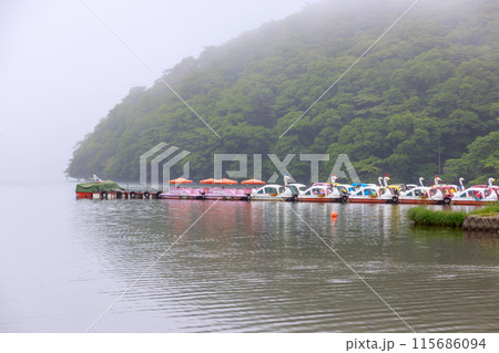 濃霧に覆われた初夏の榛名湖畔の風景 濃霧に覆われた初夏の榛名湖畔の風景 115686094