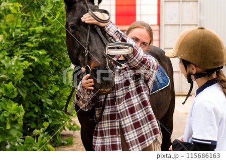 Woman adjusting horse's bridle in stable setting. Woman adjusting horse's bridle in stable setting. 115686163