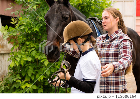 Young rider assisting with bridle adjustment on horse outdoors. Young rider assisting with bridle adjustment on horse outdoors. 115686164