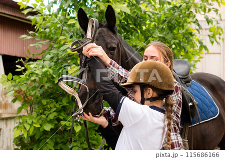 Hands adjusting a bridle on a horse. 115686166