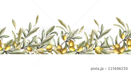Olive tree branch with green leaves and berries, stone fruits. Watercolor seamless border, pattern Hand painted illustration. Food floral clipart for oil label, summer print on isolated background. Olive tree branch with green leaves and berries, stone fruits. Watercolor seamless border, pattern Hand painted illustration. Food floral clipart for oil label, summer print on isolated background. 115686250