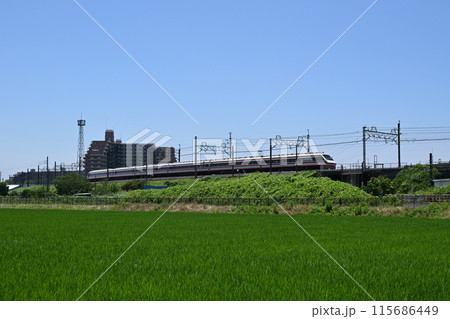 田園地帯の築堤を走る東武両毛特急 115686449