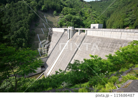 与布土ダム ダムサイト(兵庫県朝来市山東町) 与布土ダム ダムサイト(兵庫県朝来市山東町) 115686487