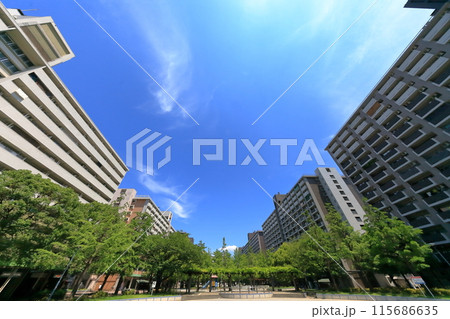 大島6丁目団地(東京都江東区) 大島6丁目団地(東京都江東区) 115686635