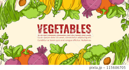 Harvesting, vegetables horizontal colorful vector banner. Isolated background, space for text. Fresh and healthy farm products, organic food, veggies icons border frame. For poster, menu, brochure Harvesting, vegetables horizontal colorful vector banner. Isolated background, space for text. Fresh and healthy farm products, organic food, veggies icons border frame. For poster, menu, brochure 115686705