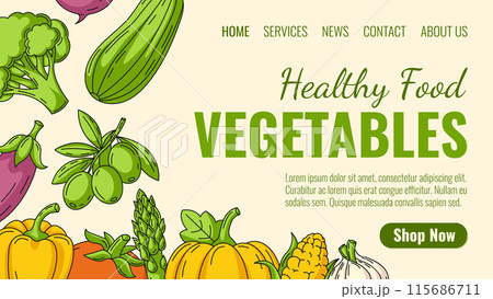 Healthy food, farm organic vegetables. Order natural veggies, eco products, vegan produce home delivery. Landing page vector minimal template for website, web, grocery, online store, farmers market. 115686711