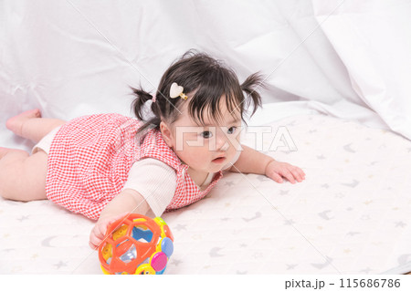 【はいはいを始めるツインテールの赤ちゃん】 115686786