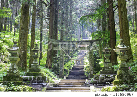 神秘的な雰囲気のある上色見熊野座神社 （熊本県高森町） 115686967