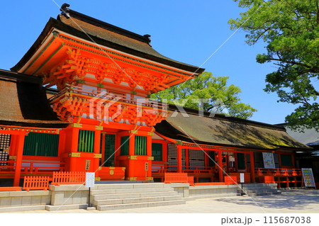 宇佐神宮上宮本殿（国宝） 115687038