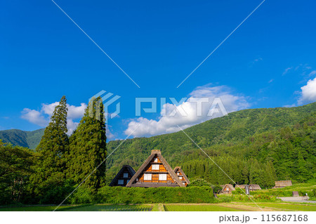 【世界遺産】白川郷・初夏の三連合掌【岐阜県】 【世界遺産】白川郷・初夏の三連合掌【岐阜県】 115687168