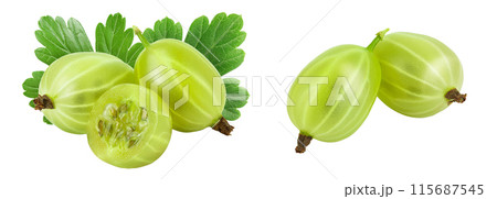 Green gooseberry with half isolated on white background with full depth of field 115687545