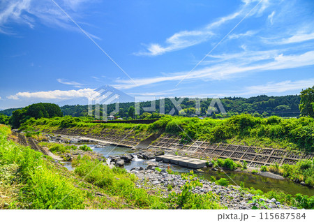 静岡県・富士宮市柚野を流れる芝川と富士山 115687584