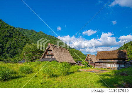 【世界遺産】初夏の五箇山・菅沼合掌造り集落【富山県】 115687930