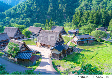 【世界遺産】初夏の五箇山・菅沼合掌造り集落【富山県】 115687940