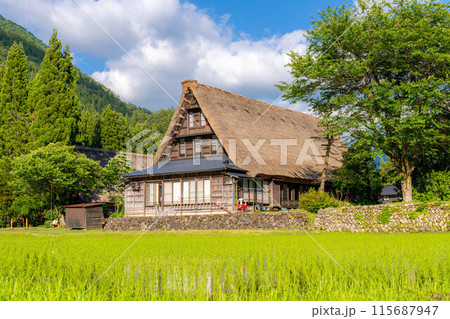 【世界遺産】初夏の五箇山・菅沼合掌造り集落【富山県】 115687947