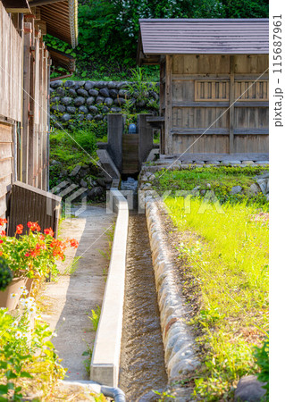 【世界遺産】初夏の五箇山・菅沼合掌造り集落【富山県】 【世界遺産】初夏の五箇山・菅沼合掌造り集落【富山県】 115687961