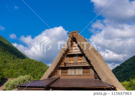 【世界遺産】初夏の五箇山・菅沼合掌造り集落【富山県】 【世界遺産】初夏の五箇山・菅沼合掌造り集落【富山県】 115687963
