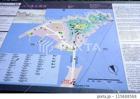 江の島　名勝図 115688568