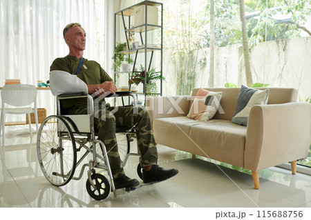 Soldier With Wounded Arm In Wheelchair 115688756