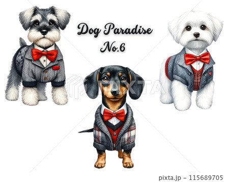 犬セット⑥ 115689705