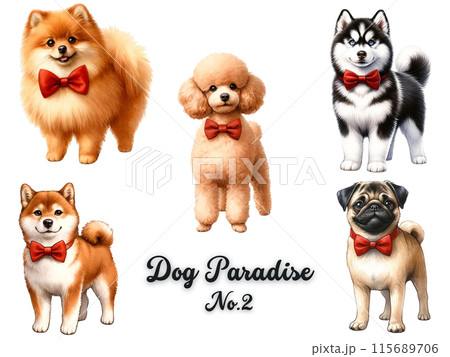 犬セット② 犬セット② 115689706