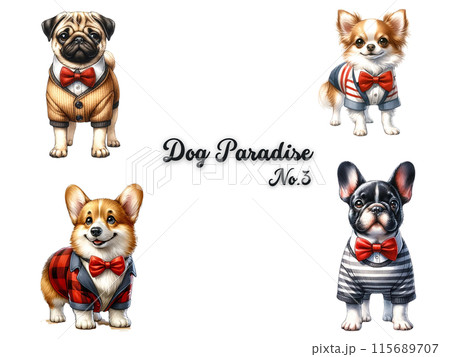 犬セット③ 犬セット③ 115689707