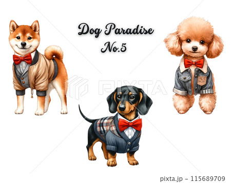 犬セット⑤ 犬セット⑤ 115689709