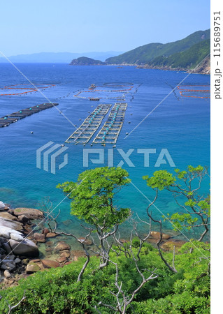 柏島の美しい海と養殖場　初夏　（幡多郡　大月町） 115689751